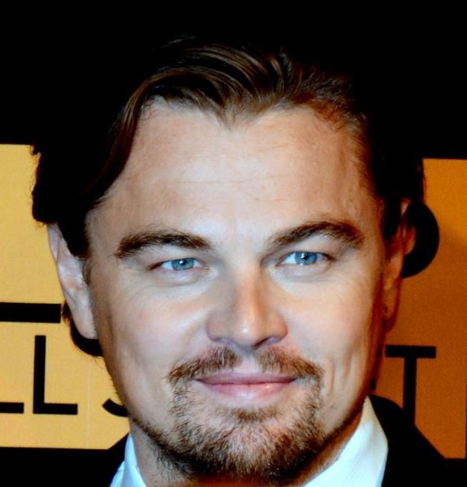 1462279891115jpg--6__leonardo_di_caprio_
