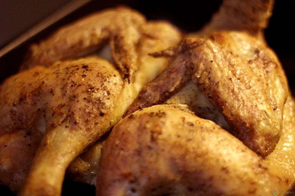 1462523985600jpg--pollo