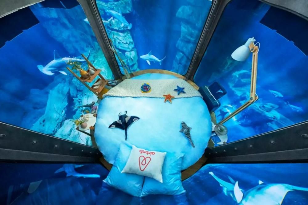 1462542795059jpg--aquarium_de_paris__parigi_