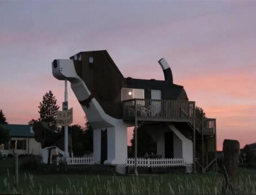 1462543489972jpg--_dog_bark_park_inn_b_b__idaho_