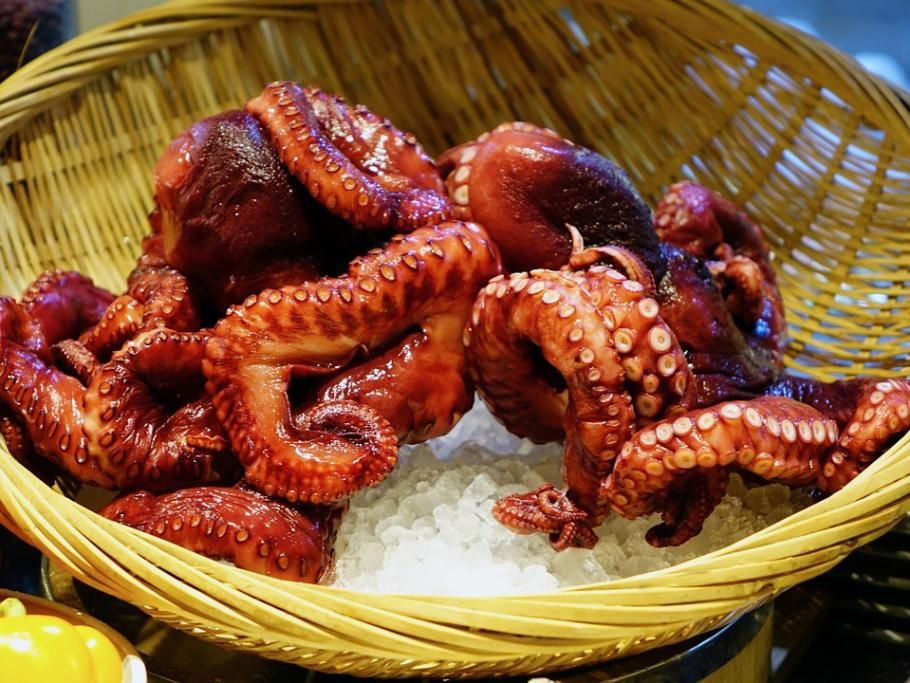 1462809185128jpg--20__il_mercato_del_pesce_a_dar_es_salaam__tanzania
