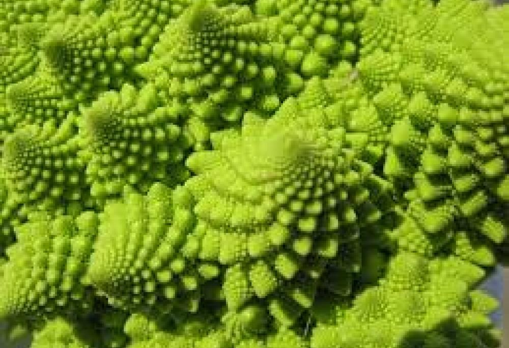 Attenzione: ecco i cibi d’importazione più contaminati e quindi nocivi per la nostra salute