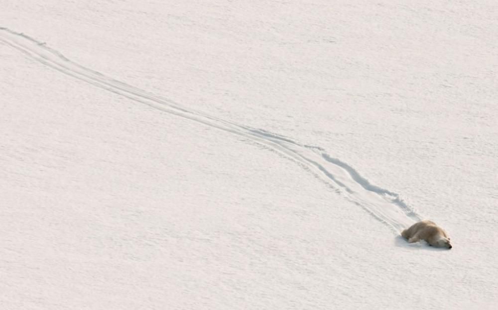 1476278855360jpg--lo_scivolo_di_neve