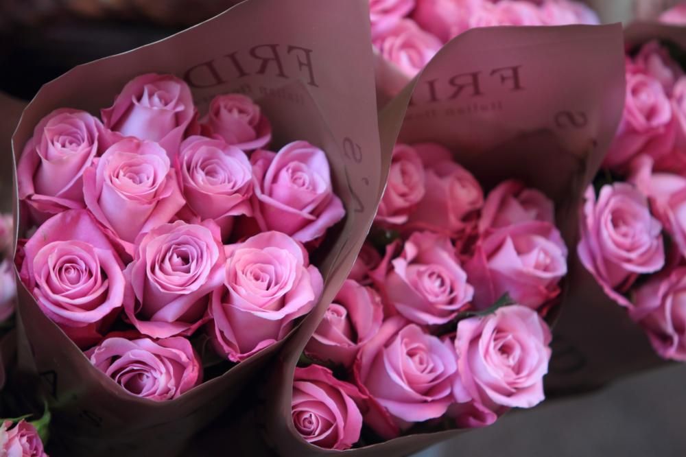 1479739800957jpg--rose