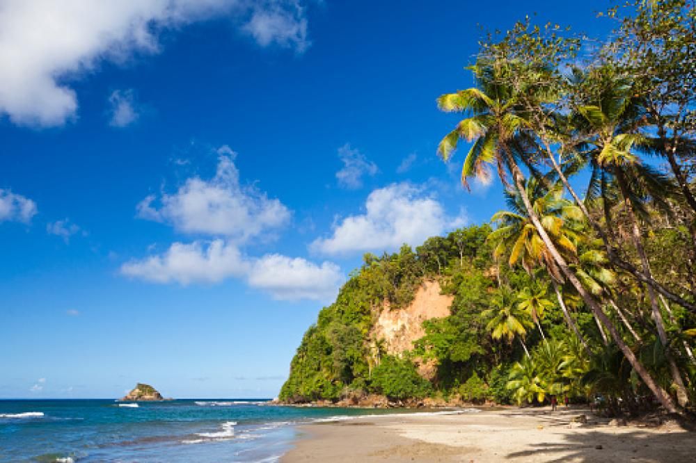 1479822202974jpg--dominica