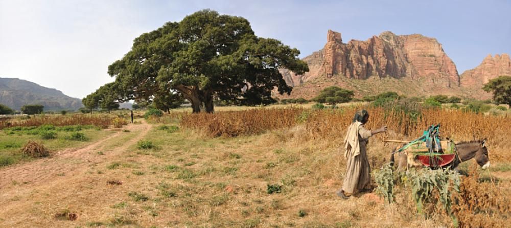 1479823385840jpg--etiopia