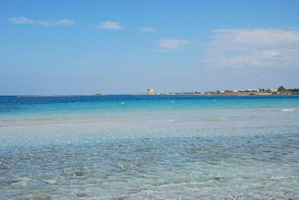 1471693442445jpg--1__porto_cesareo__foto_di_yellow_cat_da_wikipedia__licenza_cc_by_2_0_