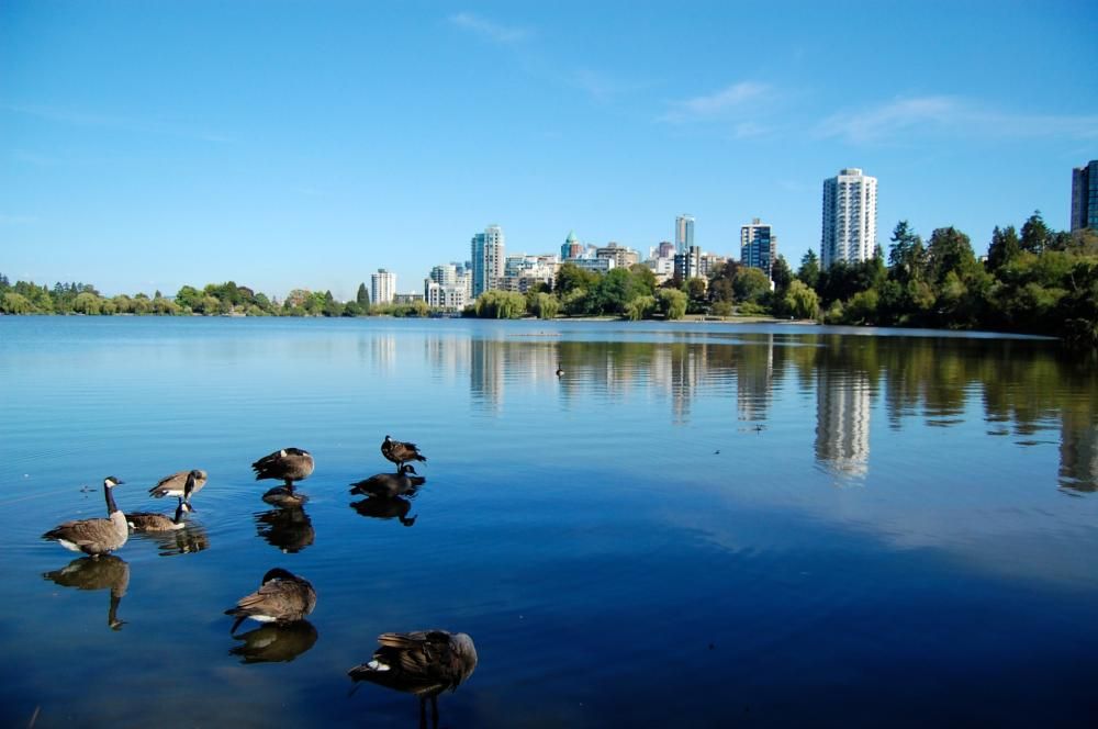 1472654619966jpg--stanley_park