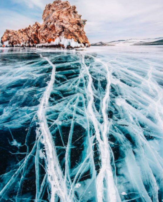 1485276766918png--2__forme_di_vita
