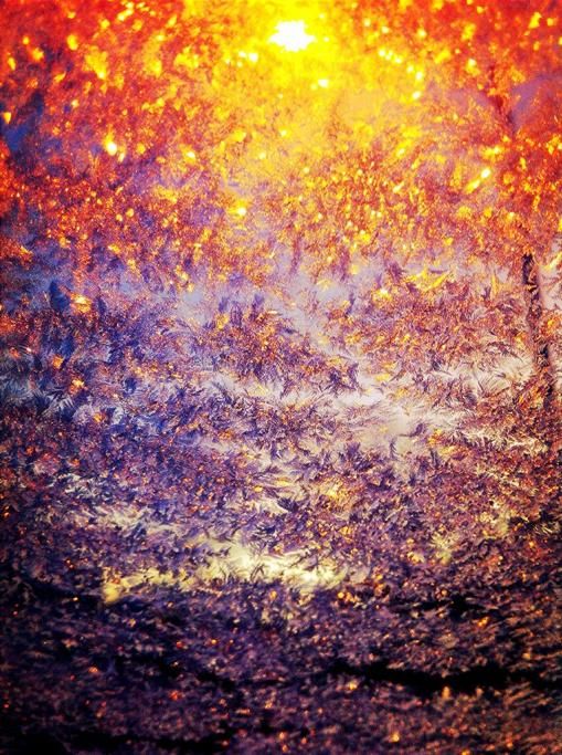 1485445196463jpg--6__a_qualcuno_questa_foto_sembra_un_quadro_di_monet__