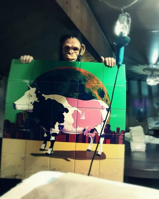 1485863704518jpg--nessuno_sa_chi_sia__in_pubblico_indossa_sempre_una_maschera_da_scimmia