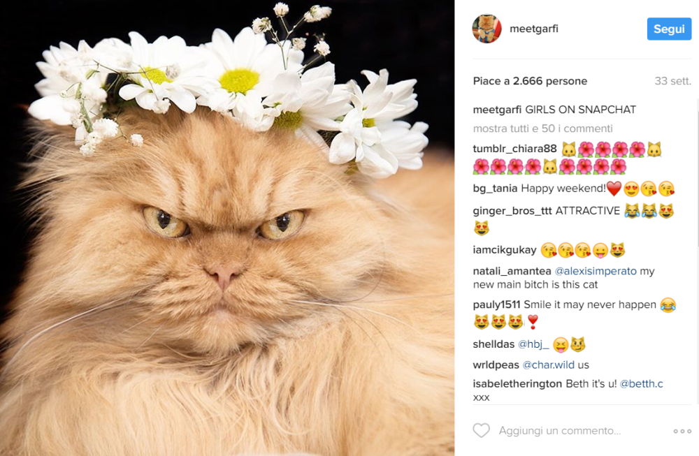 1486461956588png--garfi