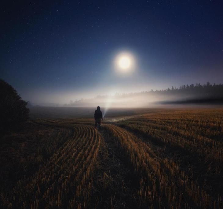 1487925216325jpg--3__in_cerca_di_luce_nei_campi_notturni