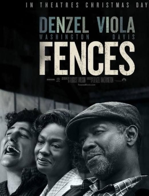 1489740484144jpg--barriere__fences_
