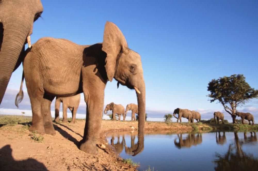 1481907607651jpg--sudafrica