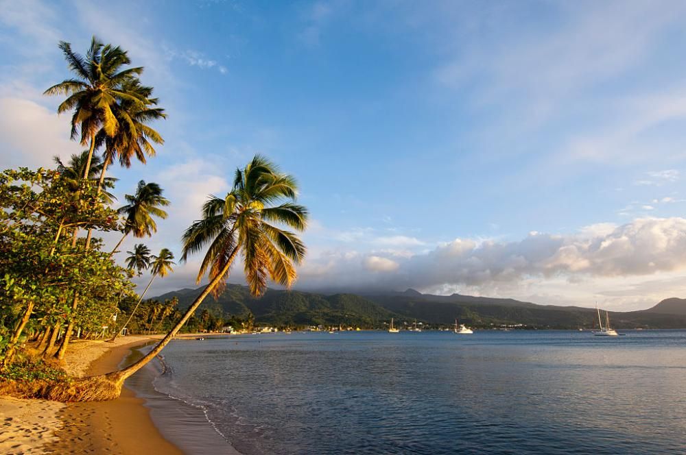 1483030019492jpg--dominica