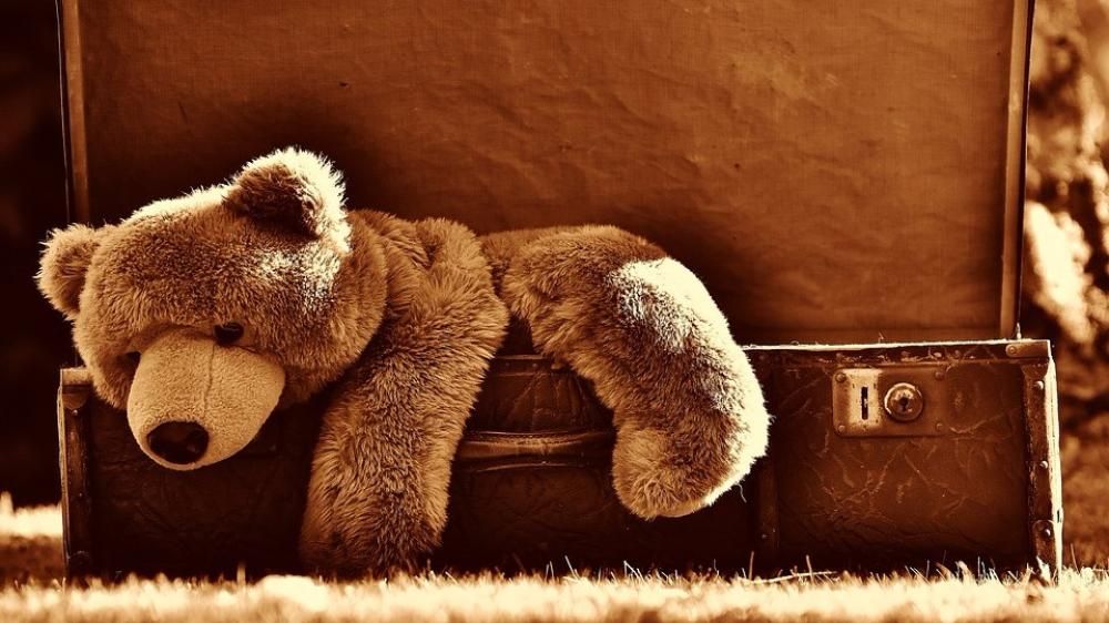 1495631550577_1495631927jpg--1__gli_animaletti_di_peluche