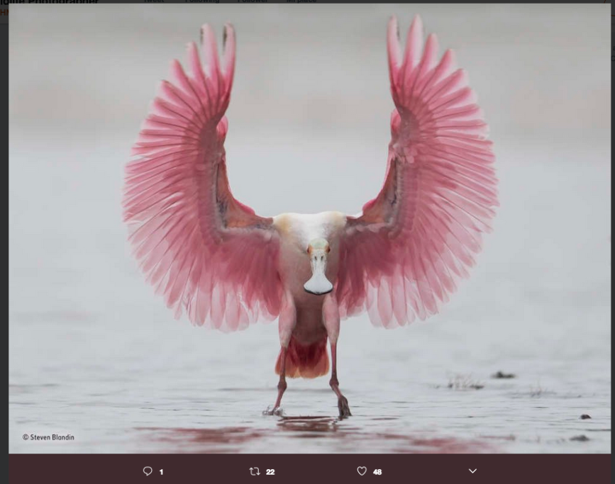 1515580038975png--