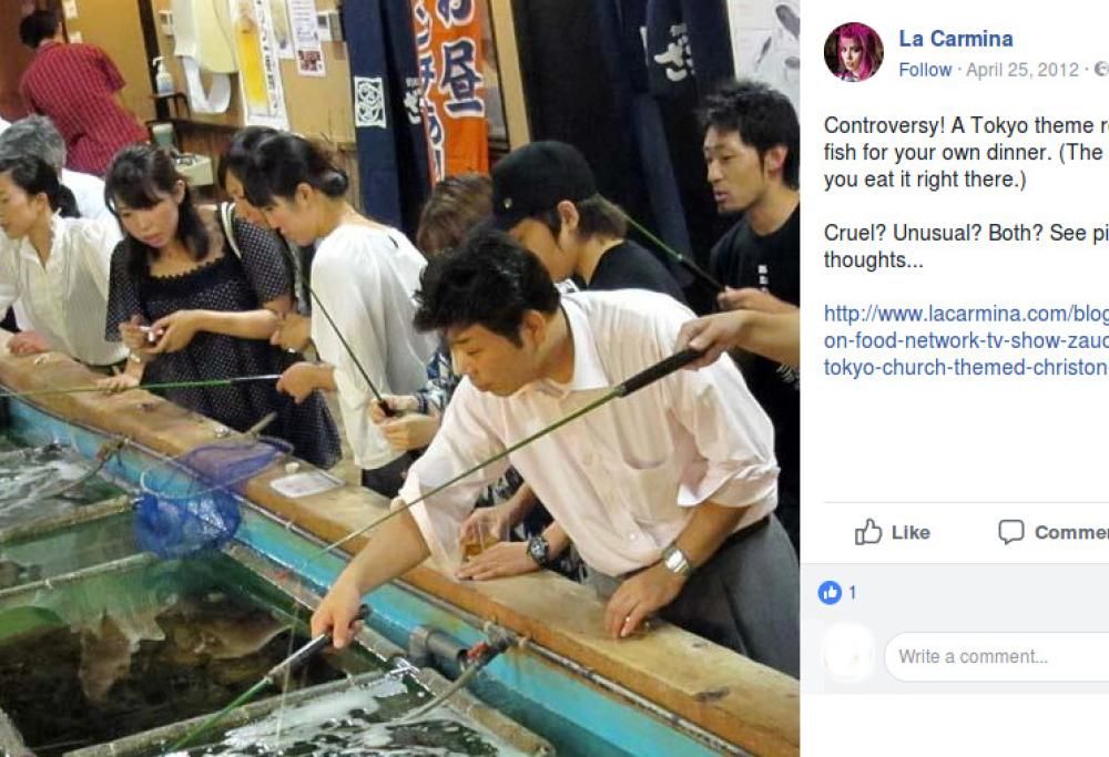 Ecco il ristorante dove i clienti pescano il pesce per cena… con la canna da pesca!