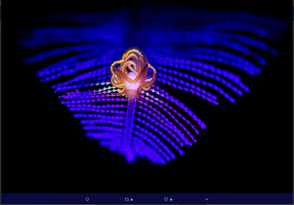 1518691778441png--