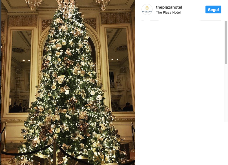 1512128160933_1512128281png--