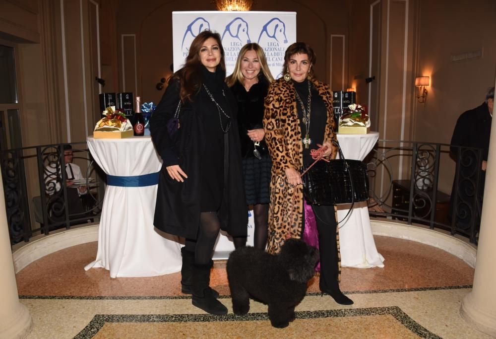 Sparkling V.I.P. – Very Important Pet