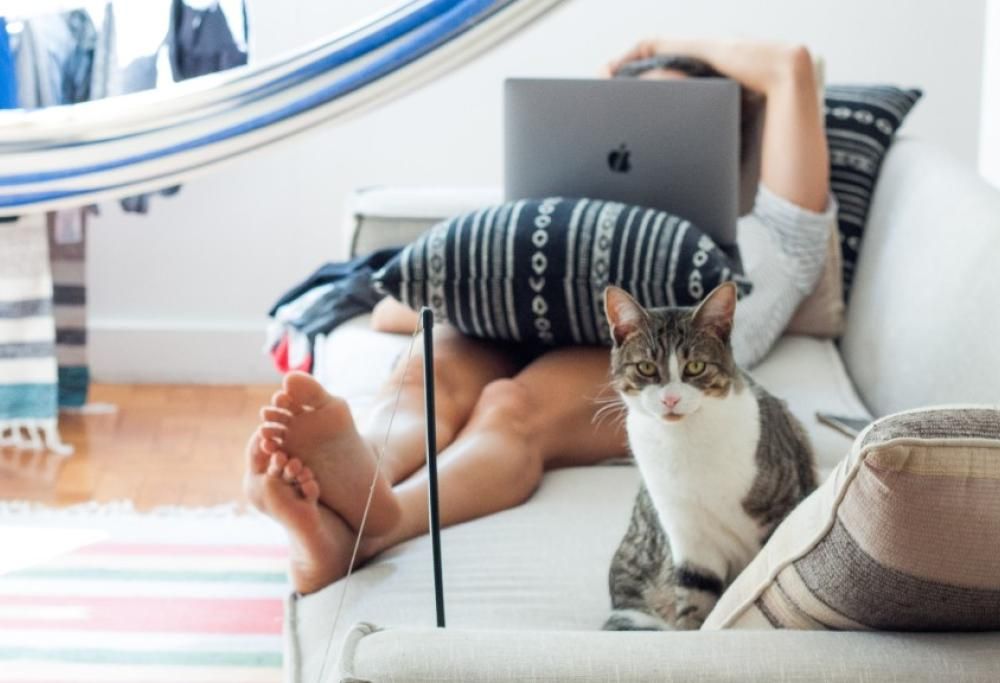 Oggi è l’ “Hug Your Cat Day”, per ricordarci dei nostri amici gatti!