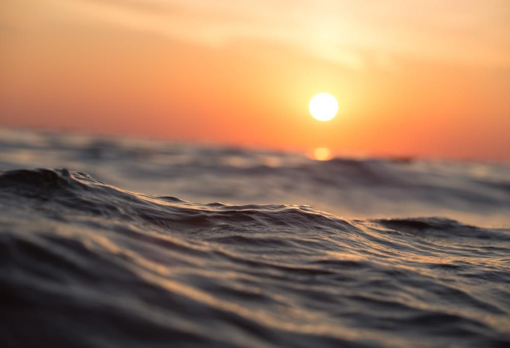 Giornata mondiale degli oceani: ecco 7 curiosità