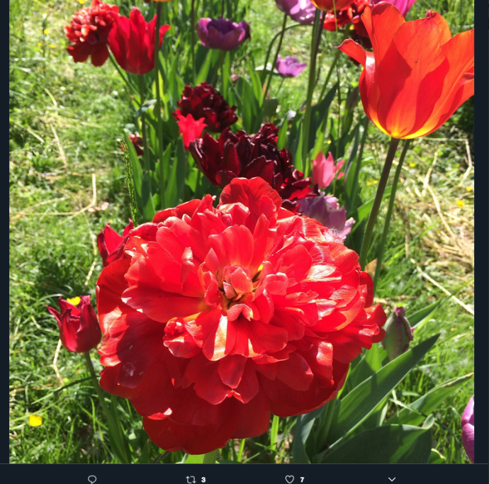 1521805681235png--