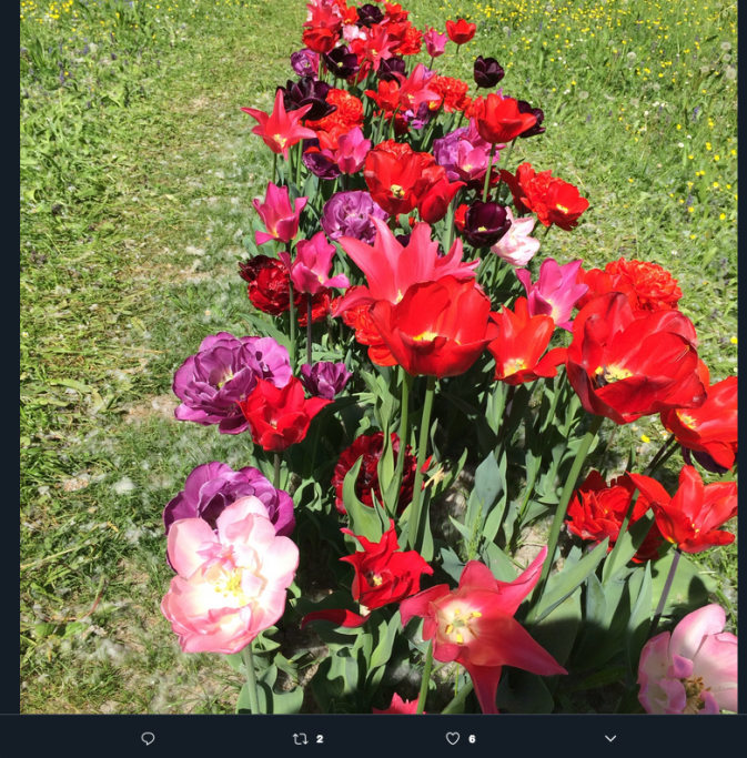 1521805681768png--