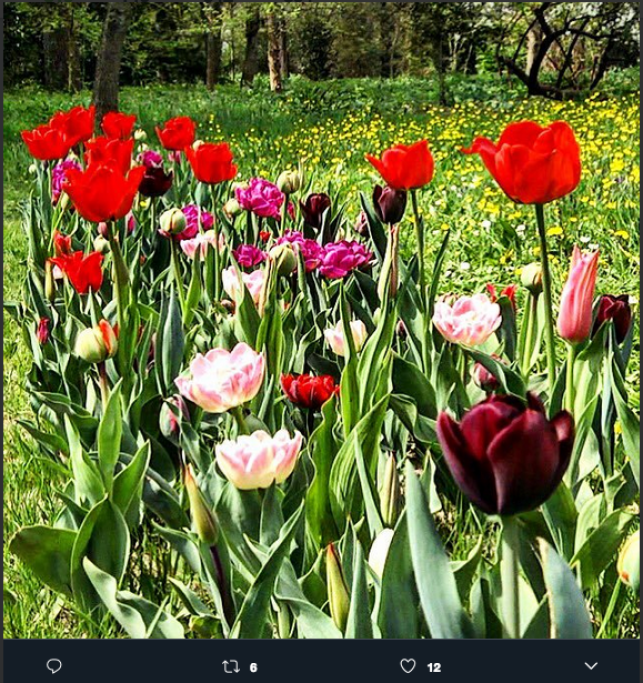 1521805682006png--