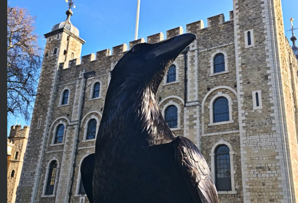 Un corvo della Torre di Londra scompare. Secondo la leggenda, la monarchia è in pericolo…