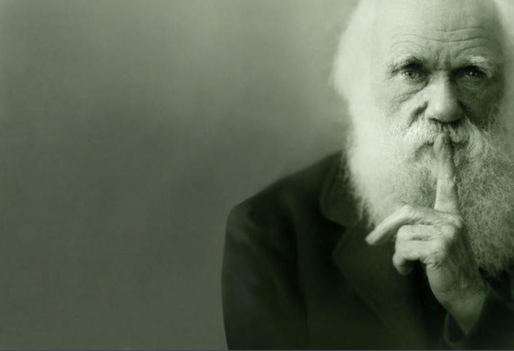 Il 20 agosto 1858 Charles Darwin presenta al mondo la teoria sull’evoluzione. Ecco 7 cose da sapere