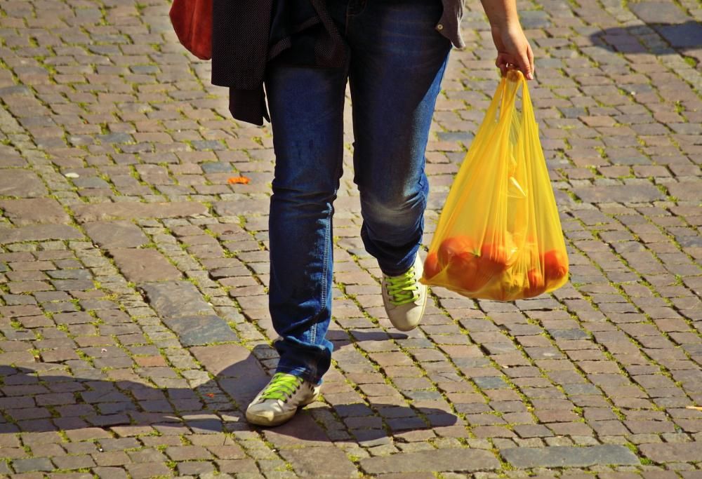 Oggi è la giornata mondiale senza sacchetti di plastica