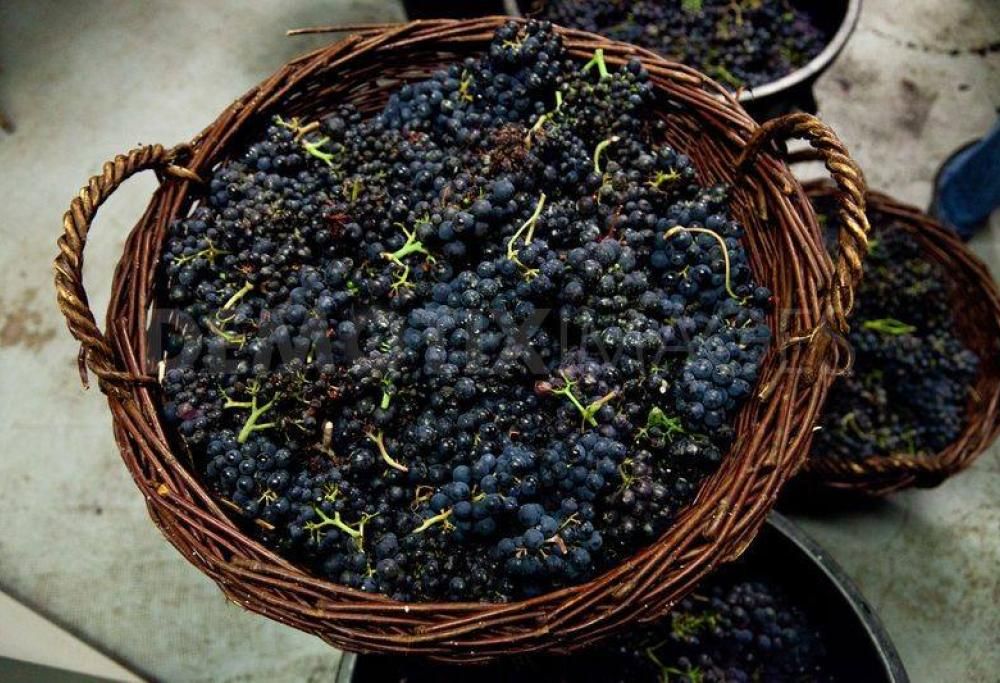 A Parigi si è celebrata l’esclusiva “Festa della vendemmia” tra spirito bohémienne e artisti di strada