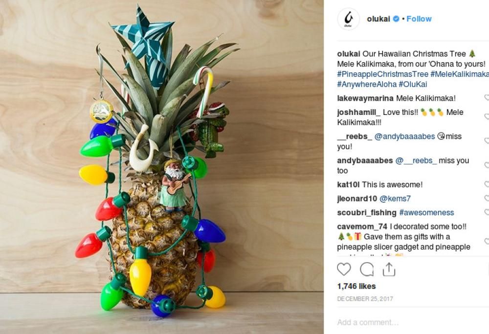 Altro che albero di Natale! Adesso si fa… l’ananas!