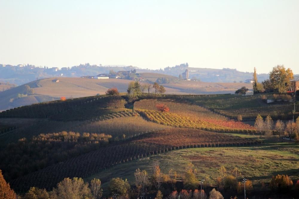 1540542748029jpg--3__langhe
