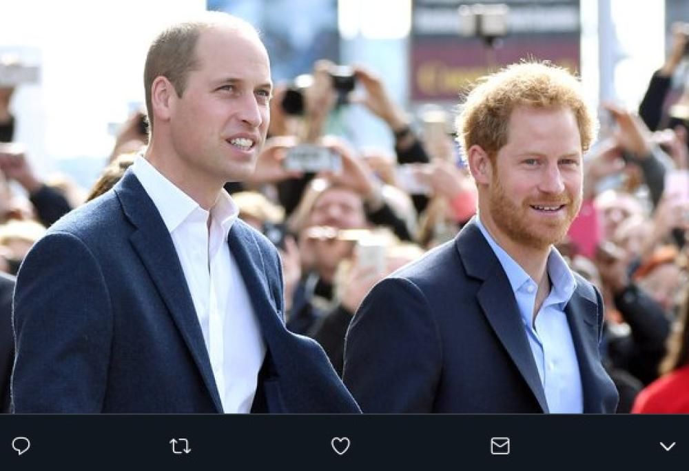 I principi William e Harry raccolgono rifiuti: «È perfettamente normale, lo fanno tutti»