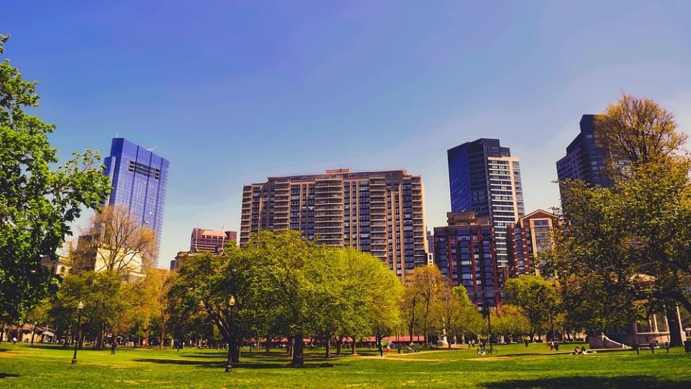 1543312527658jpg--7__boston__usa
