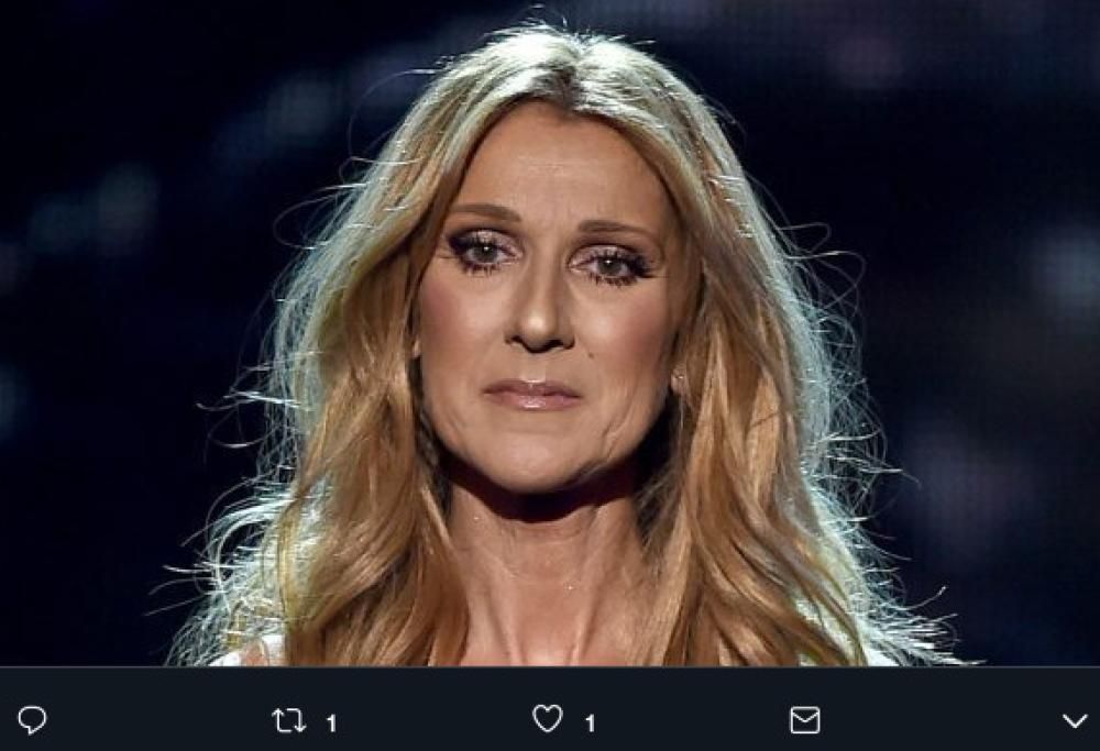 Céline Dion e la sua linea di moda per bambini: «Ha a che fare col demonio»