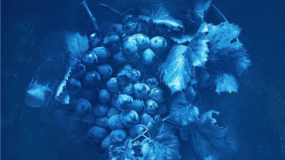 Merano WineFestival 2024