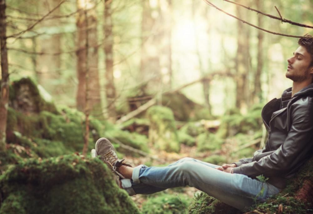 Vuoi ascoltare il rumore del bosco? Ecco la mappa online che ti permette di farlo