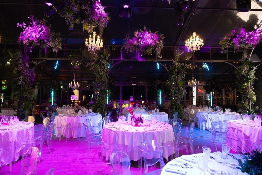 2F2A6643-1741373704674jpg--