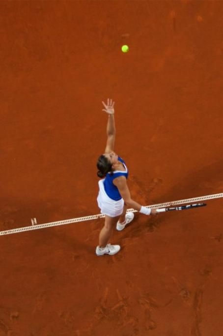 37B8577jpg--fed_cup_2013