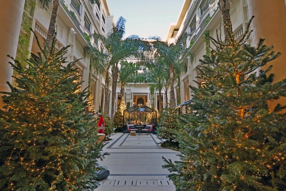 3H6A9646-1670578211412JPG--