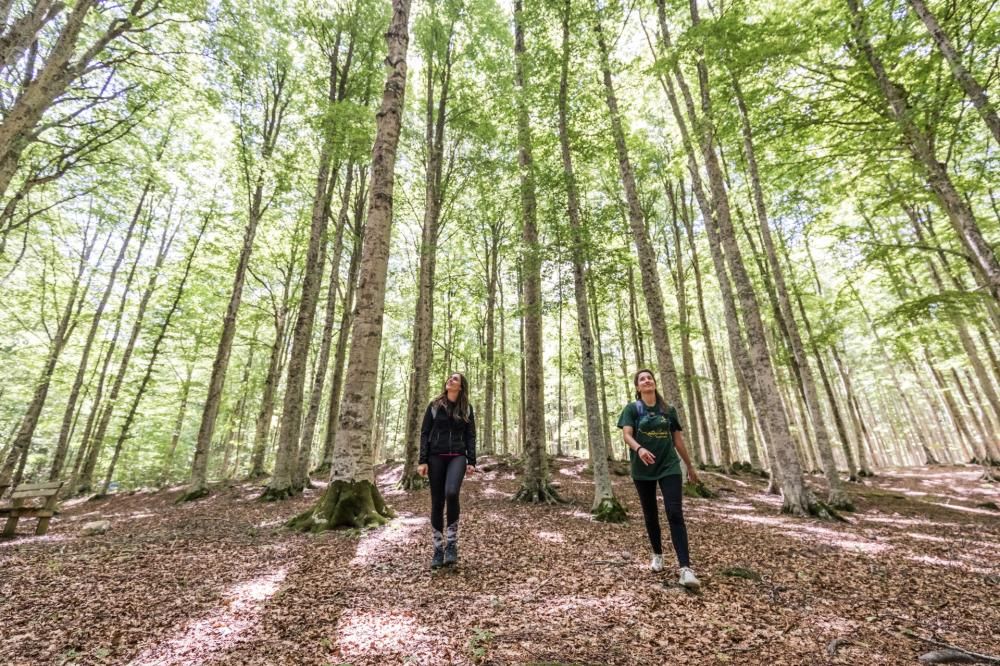 via-francigena-toscana-tappa-variante-trekking-amiata__ciclica_8339-1700047344229jpg--