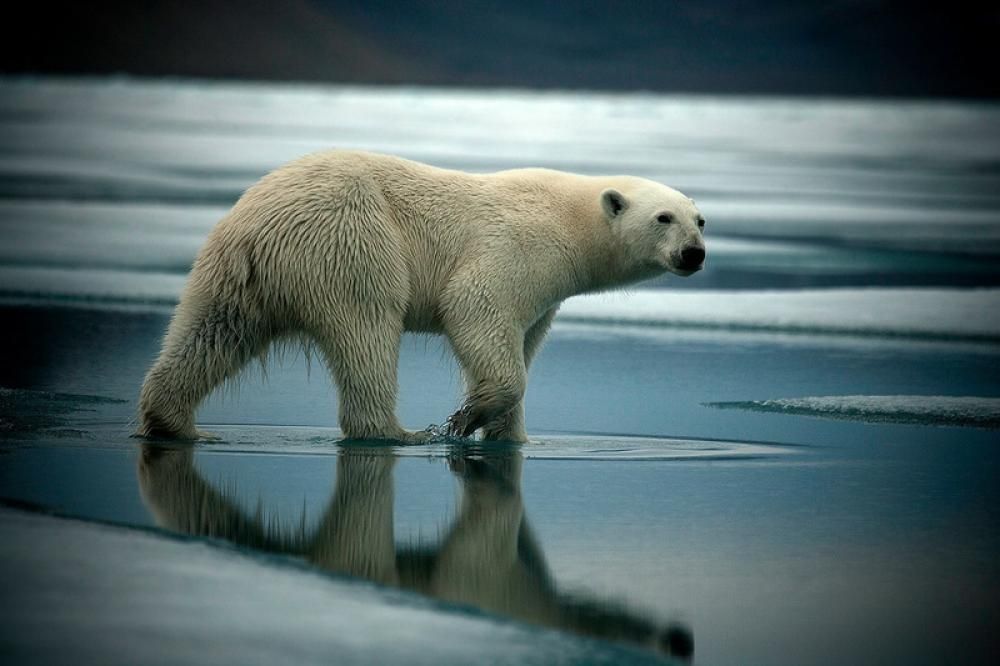 webimage-45EEB081-7AA0-45E0-B37AD2DF64A74900-1607616879265jpg--