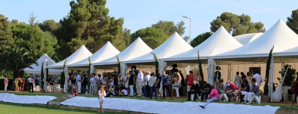 AREA-VIP-MCPC-2014jpg--_
