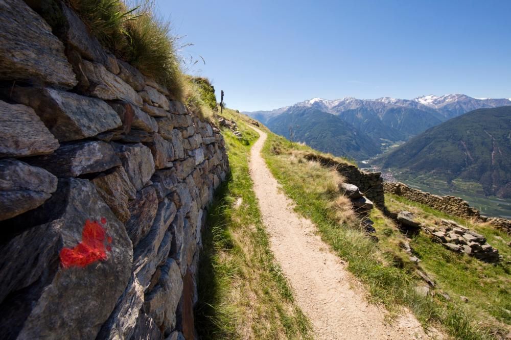 Alta_Via_Val_Venosta_IDM_Alto_Adige_Frieder_Blickle-1595514574950jpg--