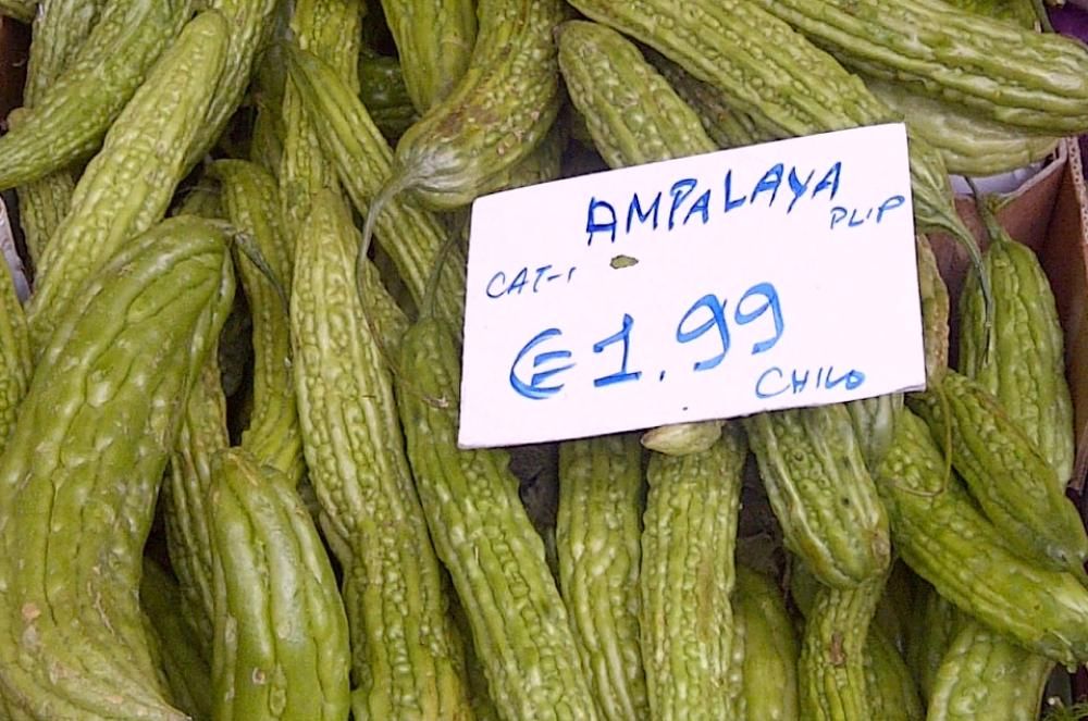 Ampalayajpg--ampalaya